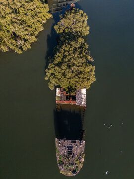 Shipwreck with forest growing out of its rusty hull on sunny day from top down aerial view in vertical format. Wreck is located in Homebush Bay, Parramatta river, Sydney Australia.

