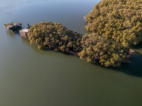 Shipwreck with forest growing out of its rusty hull on sunny day from aerial view. Wreck in located in Homebush Bay, Parramatta river, Sydney Australia.
