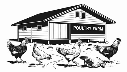 Very beautiful black and white realistic vector illustration of a poultry farm featuring chickens and poultry house with a bold label reading "POULTRY FARM", engraved linework, isolated on white backg © williamnoah