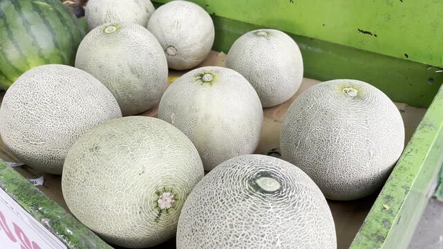 Fresh organic cantaloupe melons display at local market