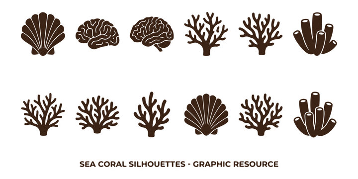 Set of black sea coral silhouettes and ocean shell icons for marine design projects
