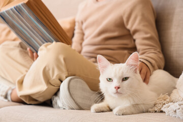 Obraz premium Cute little boy with cat reading book on sofa at home, closeup