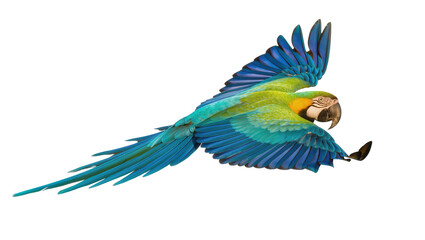 Isolated vibrant macaw parrot in flight, beautiful tropical bird with colorful wings © ROCKETX
