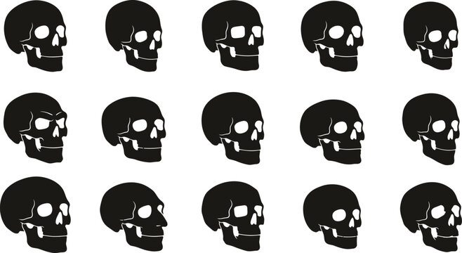 Human Skull Side View Silhouette Collection With Anatomical Vector Illustration Set For Medical Education, Halloween Graphics, Tattoo Design, Scientific Study, And Creative Projects