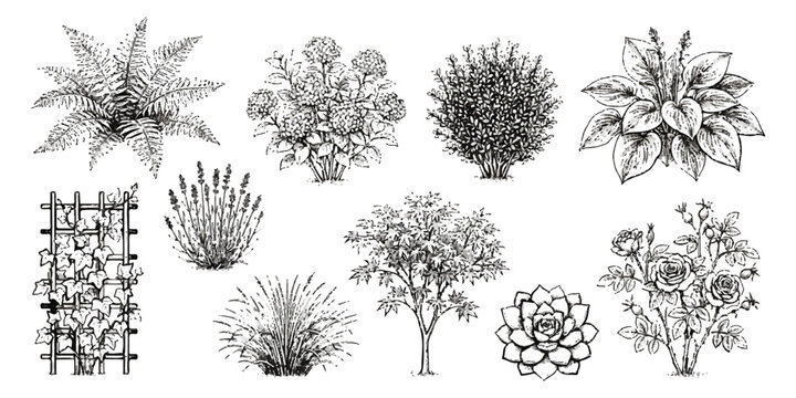 Set of hand drawn garden plants trees flowers and shrubs for landscape design and decoration