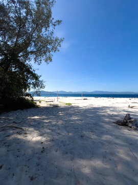Sandy Beach With Ocean View