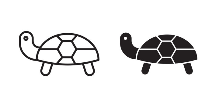 Tortoise icon