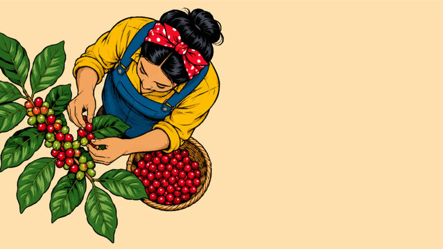 A woman farmer harvests ripe coffee cherries from a branch, showcasing the origin of coffee in a vibrant, stylized illustration.