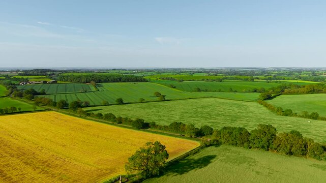 Patchwork agricultural landscape spreading across fertile countryside hills. Broad crop fields and grazing meadows forming vibrant rural scenery beneath bright daytime sky. Spring farmland patterns