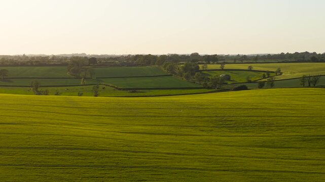 Evening farmland panorama shows cereal crops and grazing fields. Farm road, livestock pasture and hedgerow parcels separate cultivated land in warm spring light. Countryside view includes distant wind