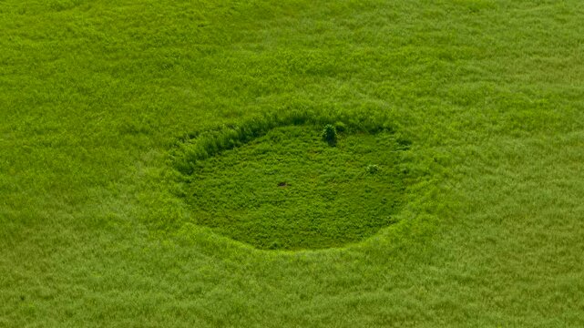 Alien landing site appearing across vibrant rural grassland. Drone perspective highlighting mysterious vegetation pattern linked with extraterrestrial theories and unknown events. Isolated field