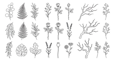 Fototapeta premium Minimalist botanical line art collection, 21 hand drawn floral icons and leaf illustrations, elegant black ink nature sketches on white background