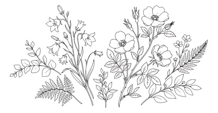 Vintage botanical line art illustration, hand drawn wildflower bouquet with fern leaves, elegant floral sketch vector for wedding invitations