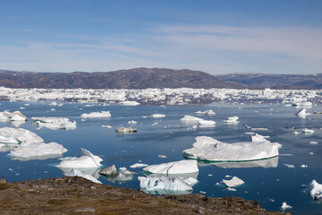 East greenland gathering ice 2