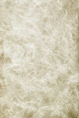 Obraz premium Close-up soft white animal fur texture background