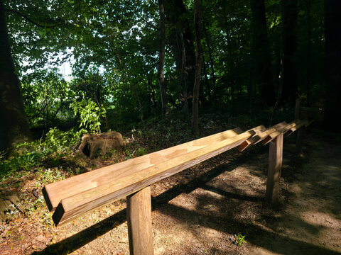 germany, magical wooden marble run glowing in enchanting forest light inspiring joyful exploration through peaceful summer woodland near wendlingen