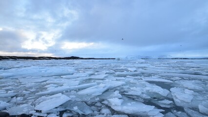 Wide view of fragmented sea ice and floating glacier pieces across the cold ocean in Iceland, with a low horizon, pale blue sky, and a stark Arctic atmosphere © なにがしあれこれ