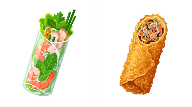 Fresh summer roll with shrimp and crispy fried spring roll illustration