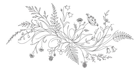 Wildflower line art bouquet vector, delicate botanical sketch with meadow flowers and fern leaves, minimalist floral arrangement for wedding stationery © Muhammad Sajjad