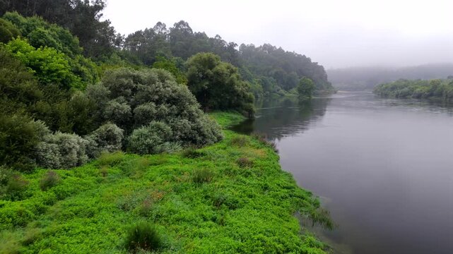 Aerial View of Lush Riparian Forest Along the R&iacute;o Mi&ntilde;o and Rio Minho Border Between Galicia Spain and Portugal