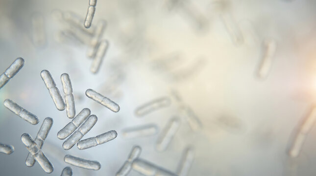 Microscopic view of rod shaped bacteria in liquid culture for laboratory microbiology research and infection control concept
