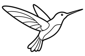 Fototapeta premium Hummingbird Flying Line Art Illustration Hand Drawn Tropical Bird Vector Design