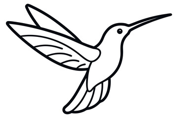 Fototapeta premium Hummingbird Flying Line Art Illustration Hand Drawn Tropical Bird Vector Design