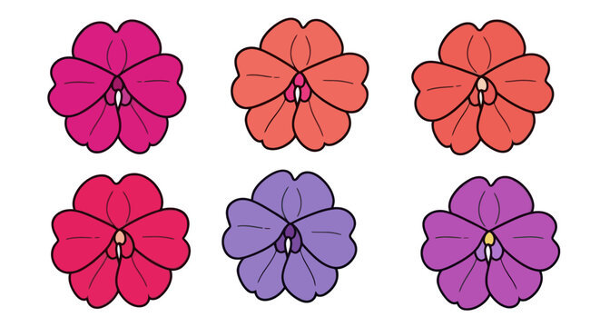 Six colorful pansy flower heads in various shades.