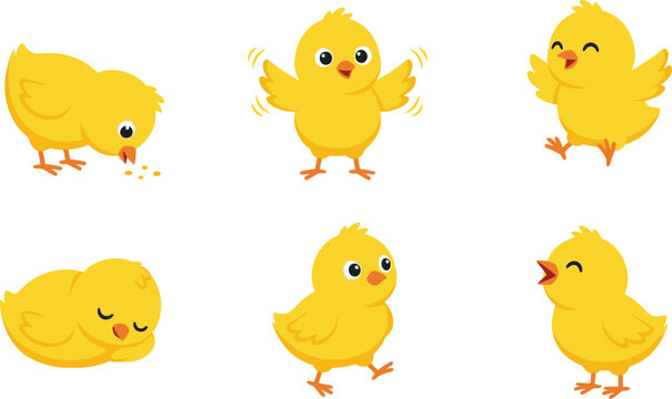 Cute baby chick cartoon vector illustration collection featuring standing, walking, pecking, sleeping, chirping and flapping fluffy farm bird character poses isolated on white background