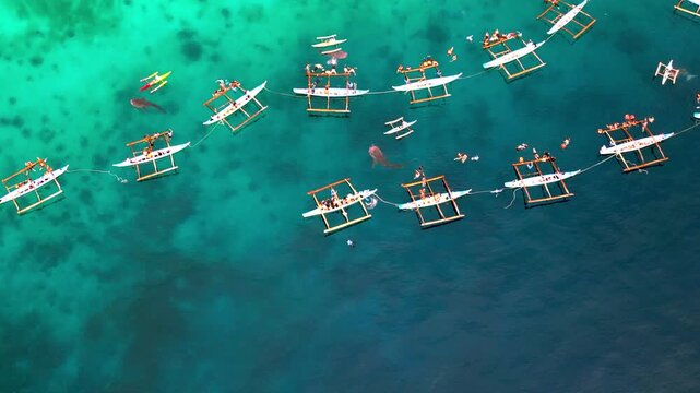 Marine Life Exploration Of Whale And Shark. Image Of Aquatic Adventurers Observing Marine Creatures