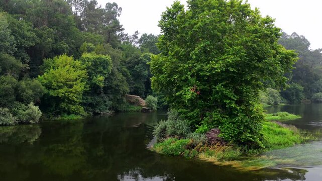 Aerial View of Lush Riparian Forest Along the R&iacute;o Mi&ntilde;o and Rio Minho Border Between Galicia Spain and Portugal