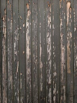 Germany 2026 Weathered gray wooden fence boards with peeling paint and rough