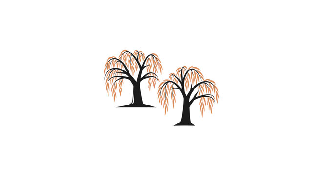 Two weeping willow trees with delicate branches.