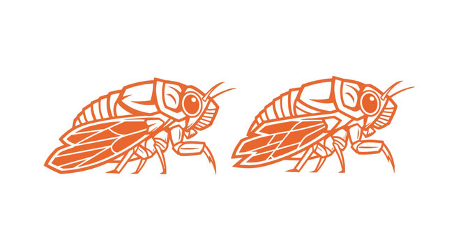Detailed illustration of two orange cicada insects.