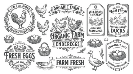 Vintage Farm Fresh Eggs and Poultry Illustrations - Organic Farm Style © kretek