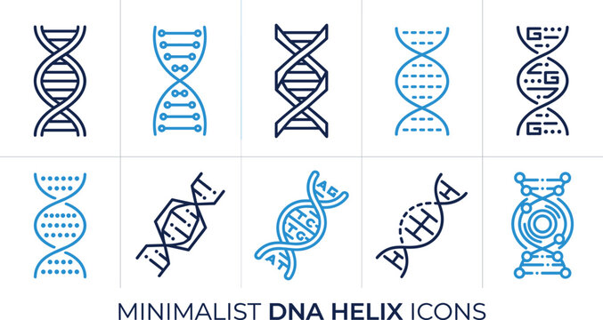 Collection of minimalist dna helix icons representing genetic scientific research and biology education.