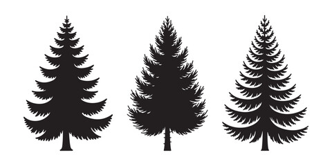 Set of three coniferous pine tree silhouettes for forest landscape or holiday card design. © sahin