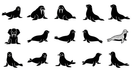 Silhouettes of seals and walruses in various poses. © Adera