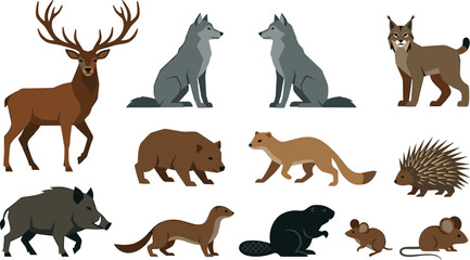 Forest wildlife animals cartoon vector illustration collection featuring deer, wolves, lynx, bear, boar, marten, hedgehog, beaver and mice isolated on white background © Yevhenii creative