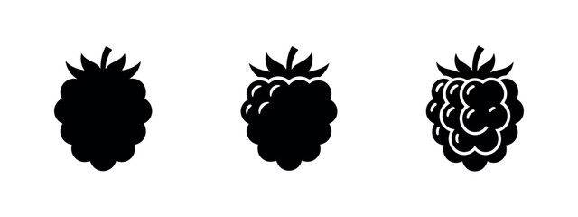 Raspberry fruit icons. Sweet, tart, and healthy berry symbols for recipes or packaging. © Lili