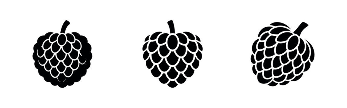Cherimoya / Custard Apple fruit icons set. Black and white vector illustrations of exotic tropical fruit, for food and healthy eating.