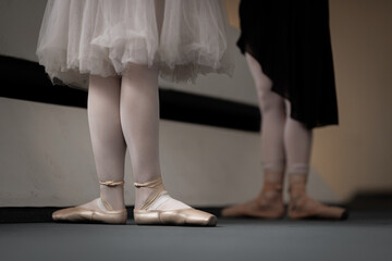 Ballet dancers practicing at the barre in pointe shoes and tutus during a quiet studio rehearsal session © Nikola Spasenoski