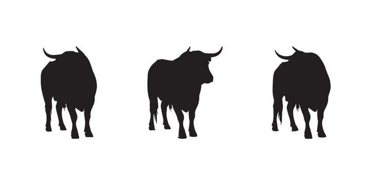 Bull Front View Silhouette Collection. Powerful cattle silhouettes in front-facing and three-quarter standing poses, isolated on white background for farm, livestock and mascot designs.