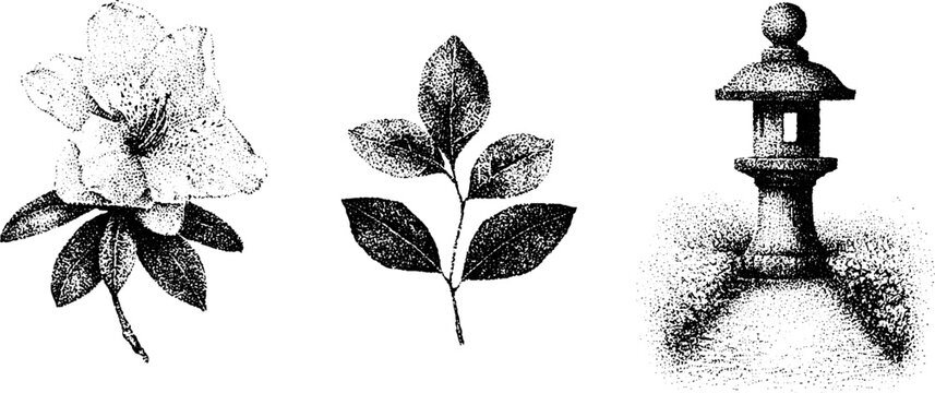 Black and white stippled azalea blossom leaves and stone lantern trio for botanical background and japanese garden design
