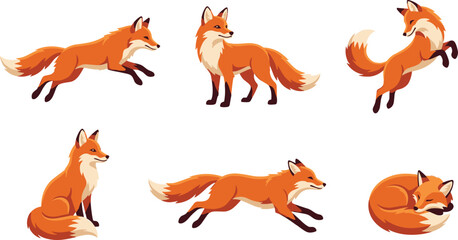 Red fox cartoon vector illustration collection featuring running, standing, jumping, sitting and sleeping woodland wildlife character poses isolated on white background