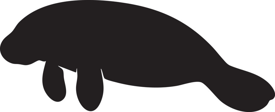 Florida Manatee