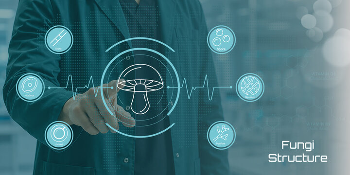 Clinical Trial Design with Patient Sample Size, Randomization, Study Protocol, and Data Analysis