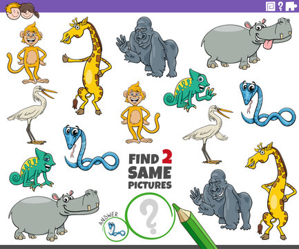 find two same cartoon wild animal characters educational activity