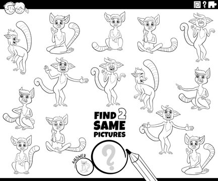 find two same cartoon lemurs animal characters educational activity coloring page
