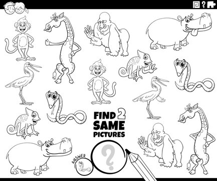 find two same cartoon wild animal characters educational activity coloring page